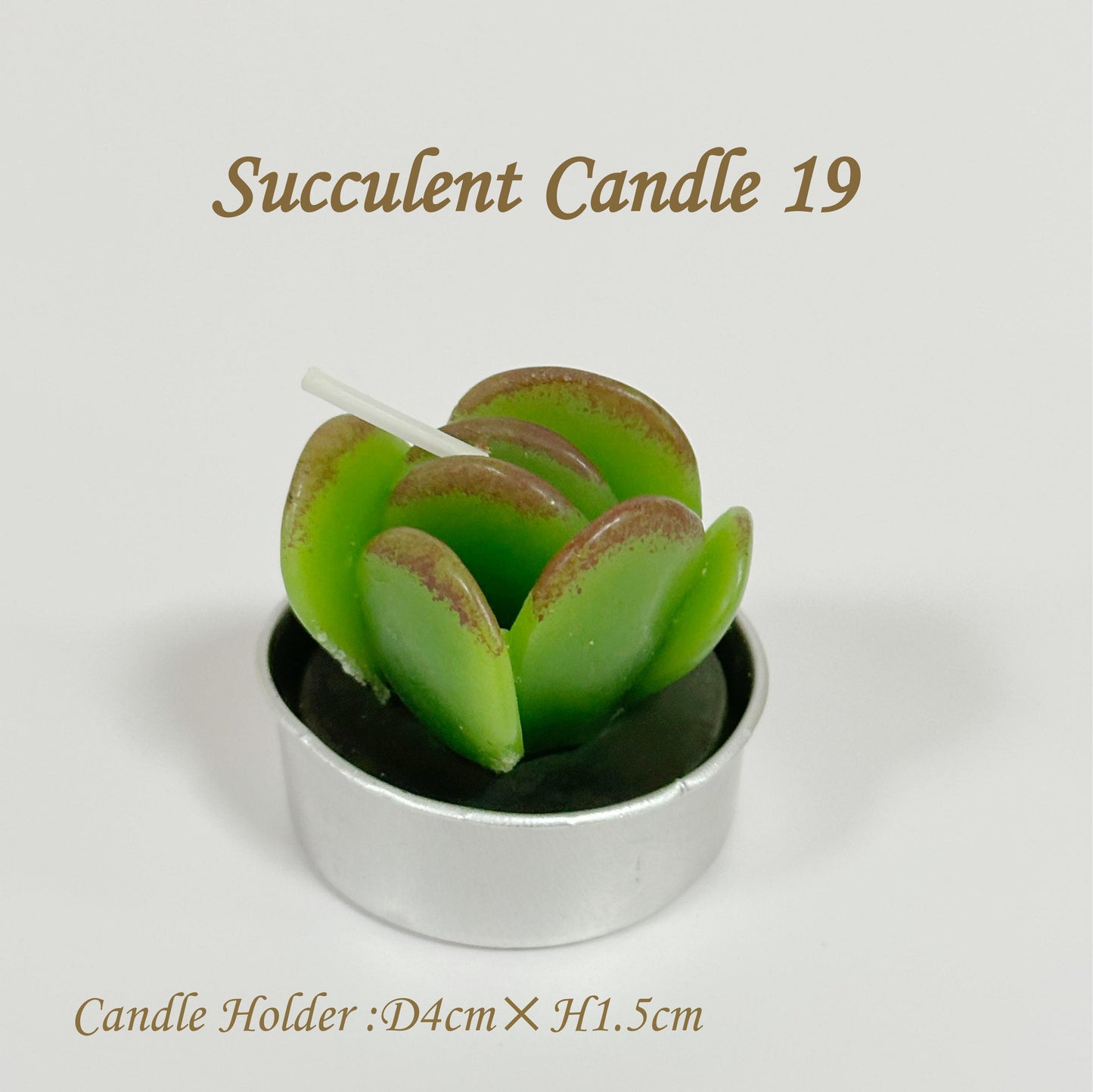 succulent jade candle Juicy Cactus Candle, Exquisite Smokeless Scented Small Candle, Suitabl – Love Party